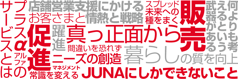 JUNAにしかできないこと